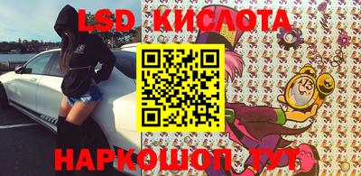 гашик Кингисепп