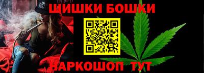 гашик Кингисепп