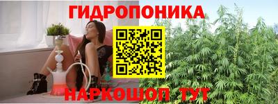 меф Кимры