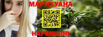 гашик Кингисепп