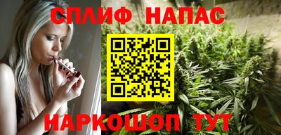 гашик Кингисепп