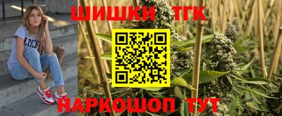 гашик Кингисепп