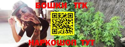 гашик Кингисепп