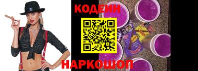 гашик Кингисепп