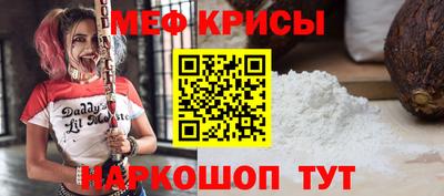 гашик Кингисепп