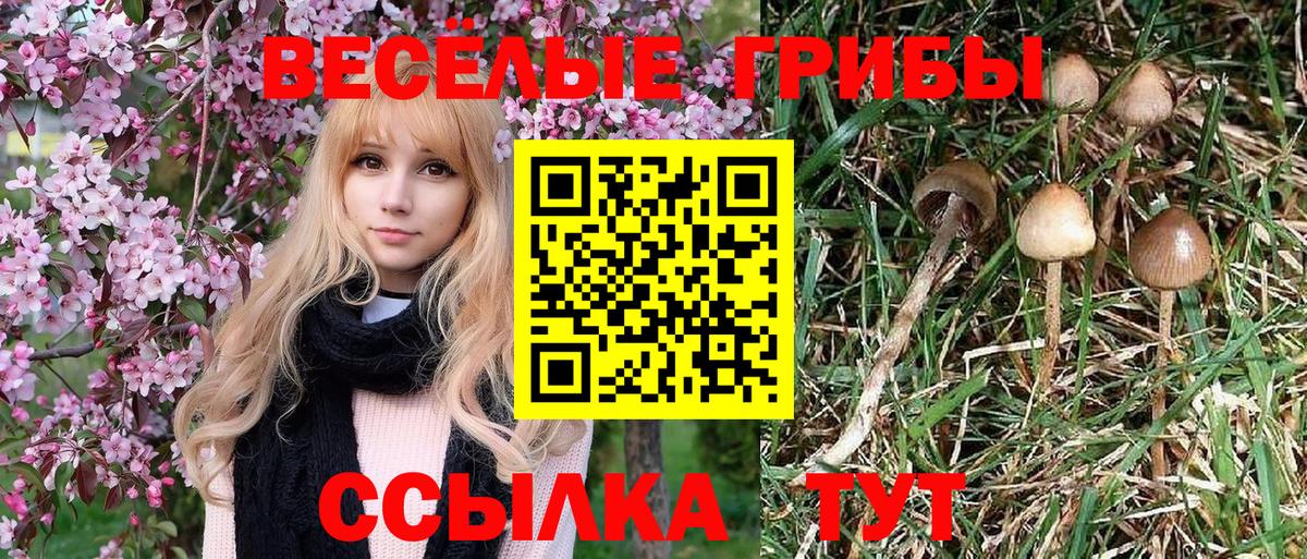 Красноармейск  Галлюциногенные грибы MAGIC MUSHROOMS  Вход с VPN 